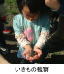 いきもの観察