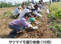 サツマイモ掘り体験(10月)