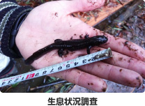 生息状況調査