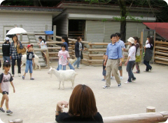 ふれあい広場