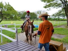 ゆらゆら乗馬写真